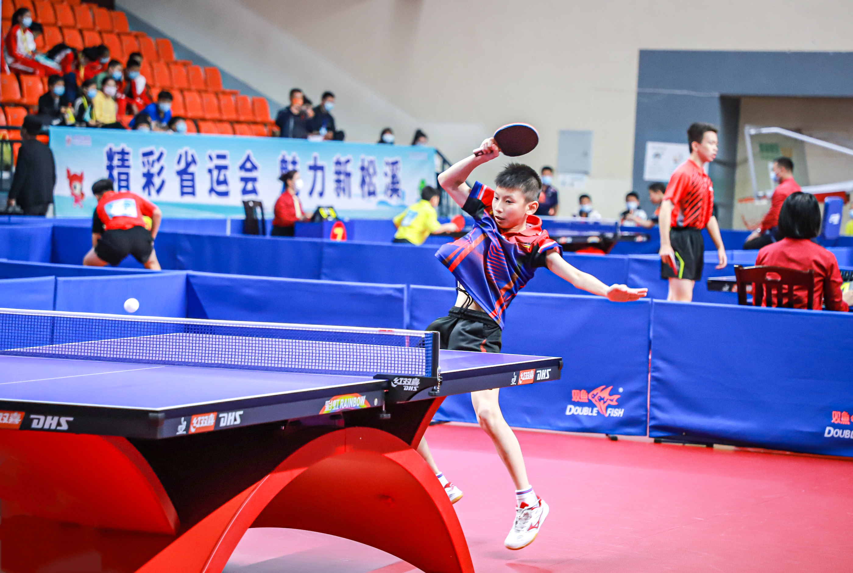 公众人物的 公众人物的