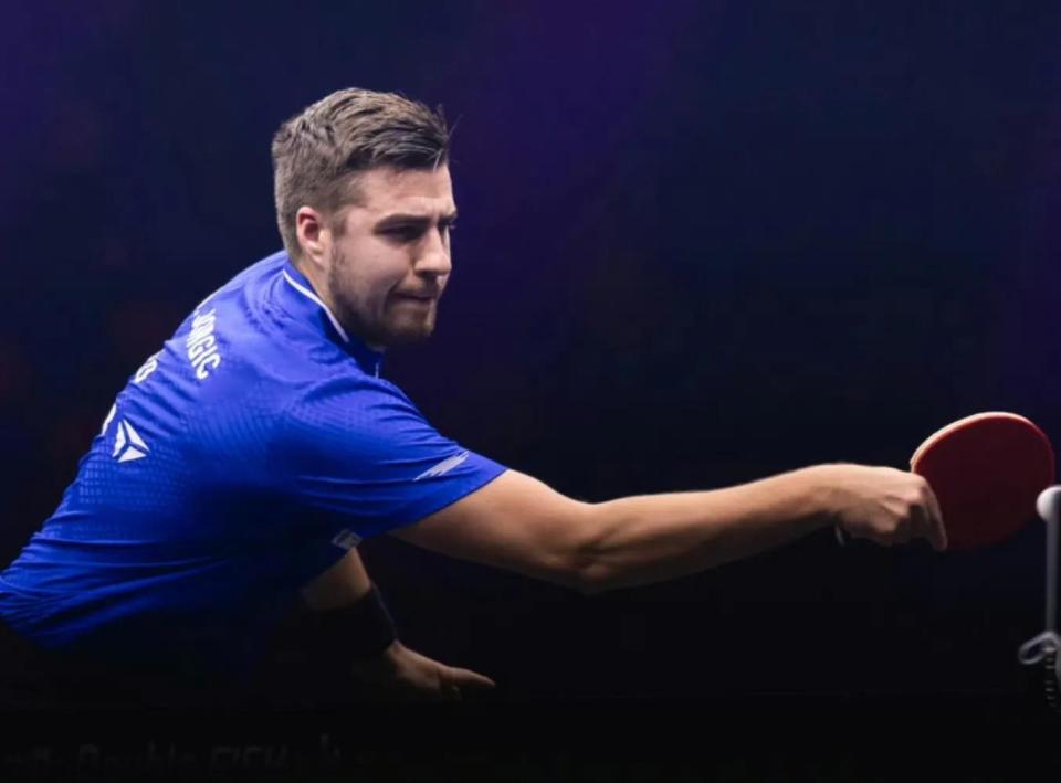 样是夺冠的 样是夺冠的