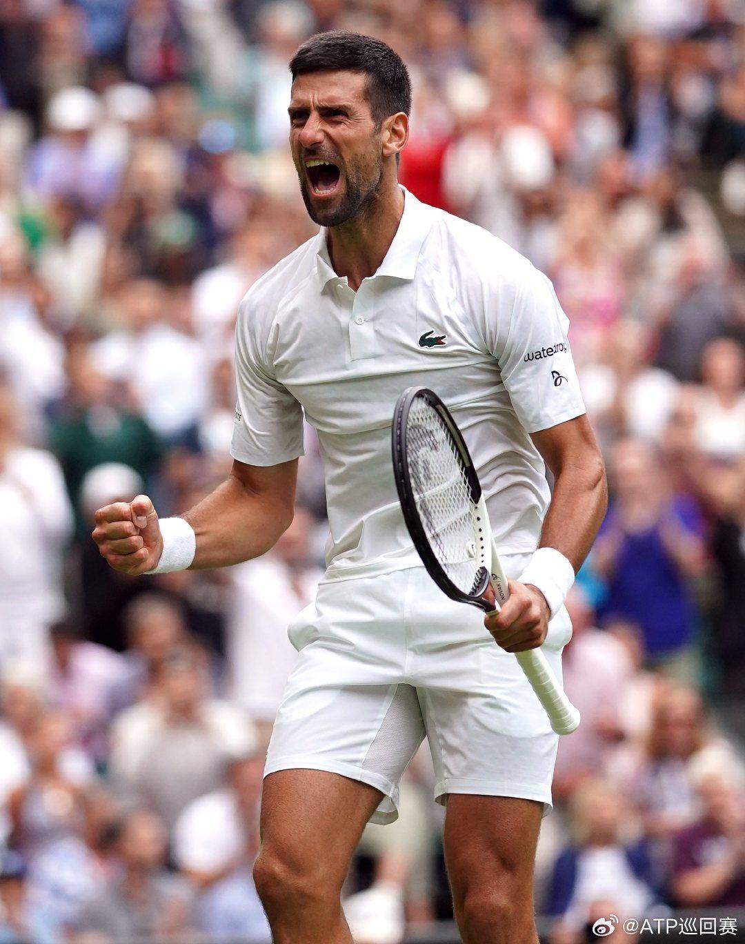 深圳的篮下 深圳的篮下