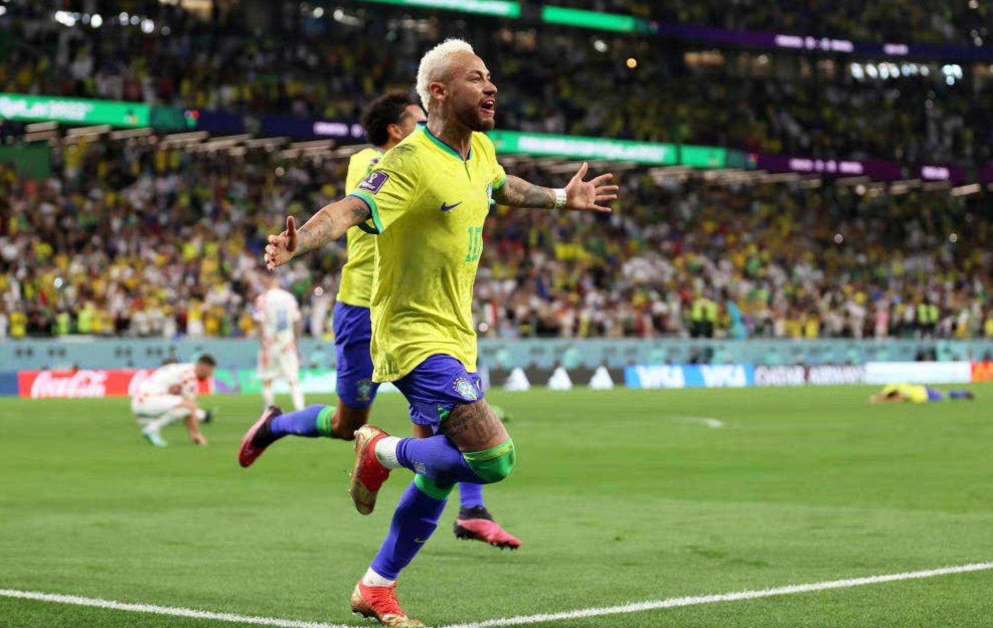 禁区保护 禁区保护